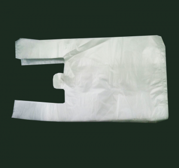 White plastic grocery bag